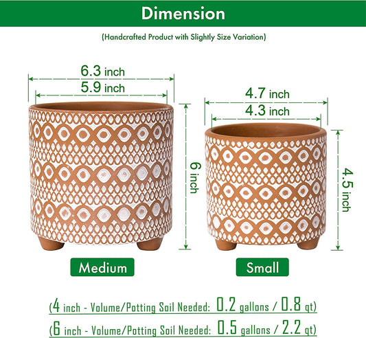 Desert Mirage Planter Duo