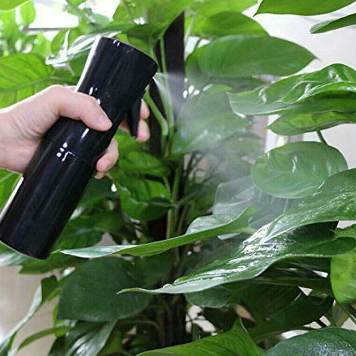 Continuous Fine Mist Spray Bottle