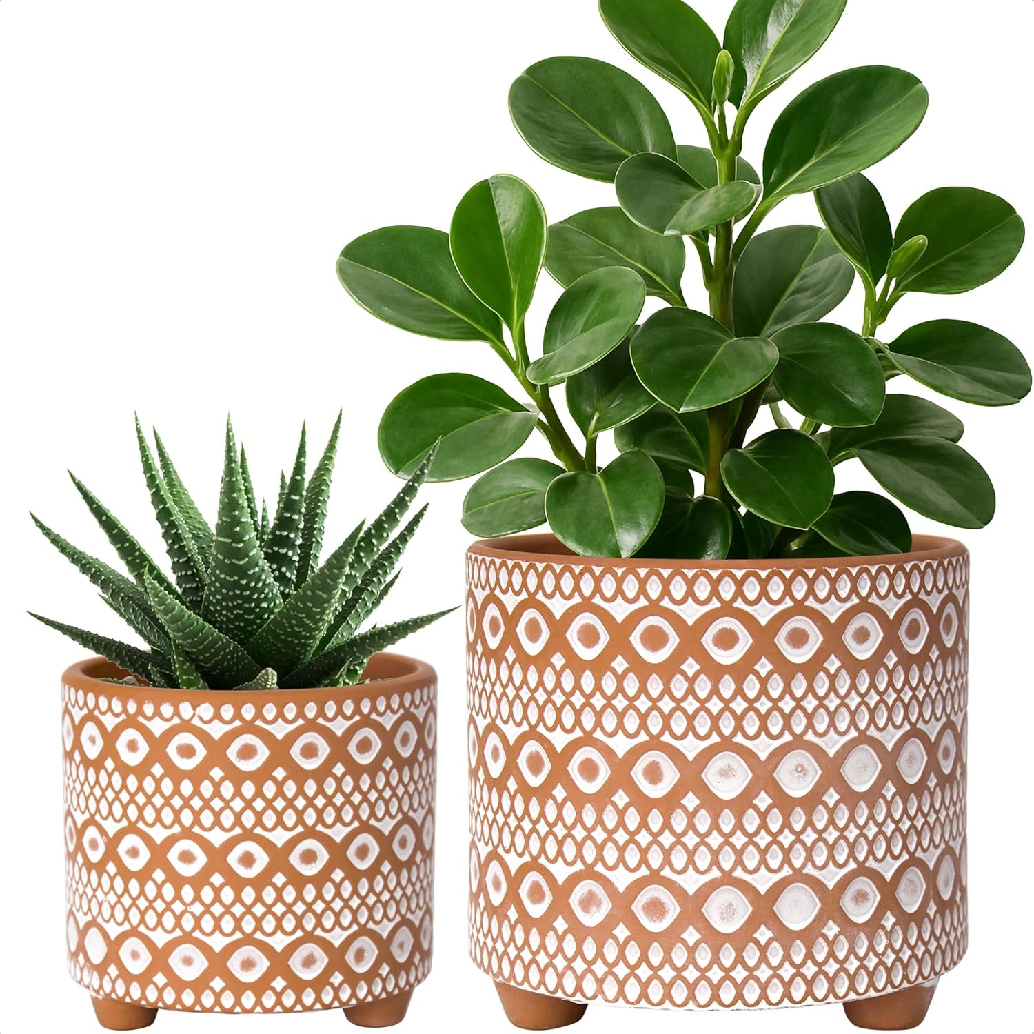 Desert Mirage Planter Duo