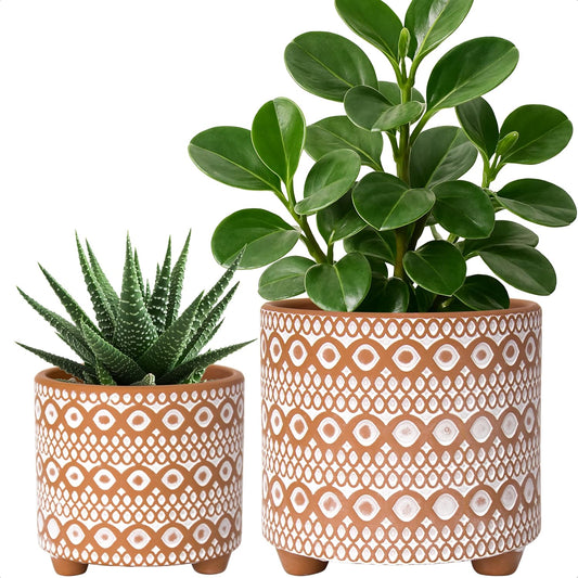 Desert Mirage Planter Duo
