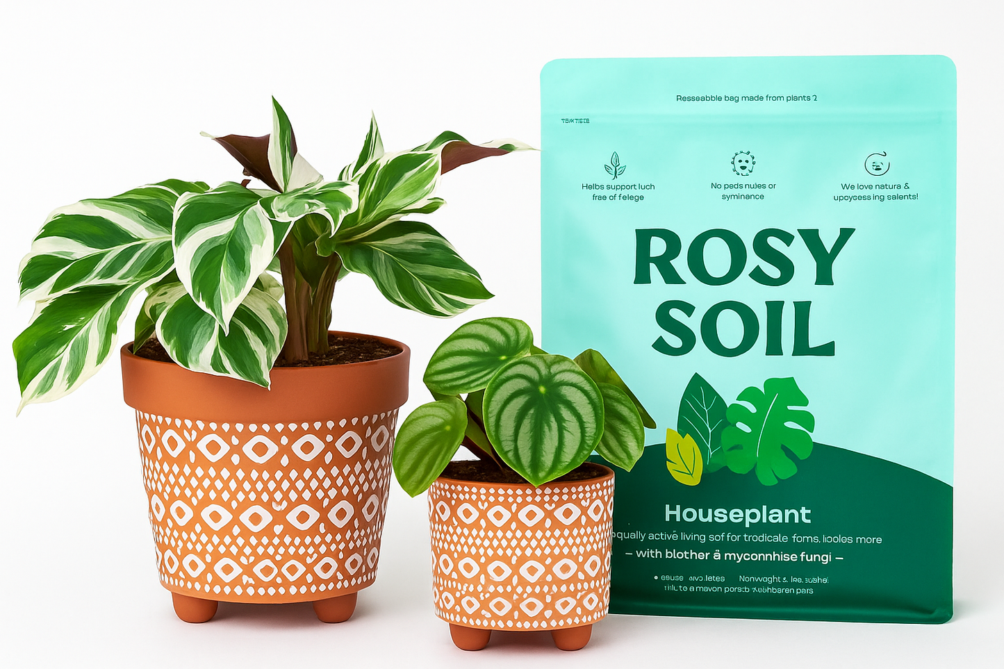 New Plant Journey Bundle