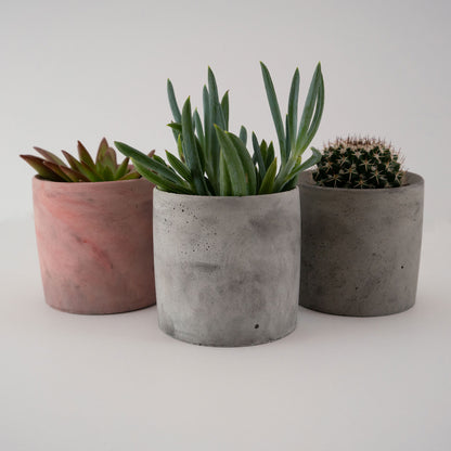 Colorform Companion Planters