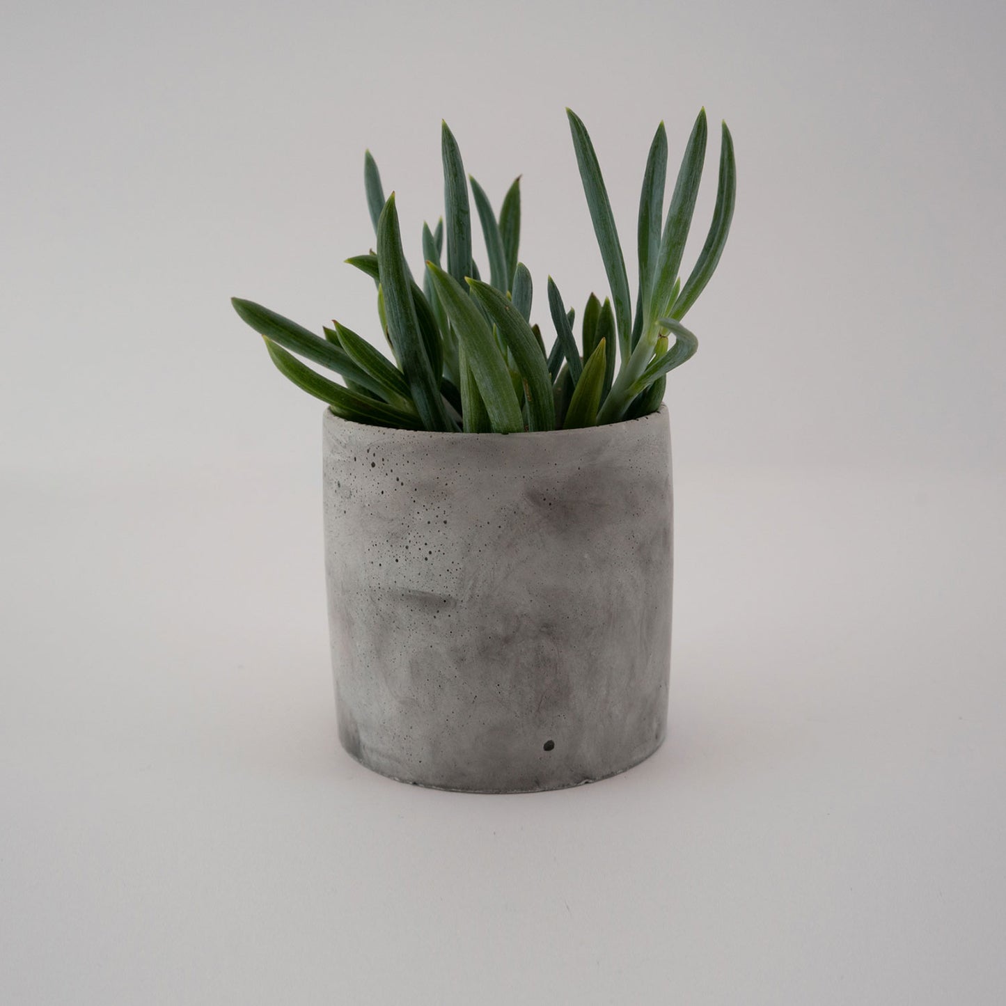 Colorform Companion Planters