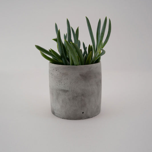 Colorform Companion Planters