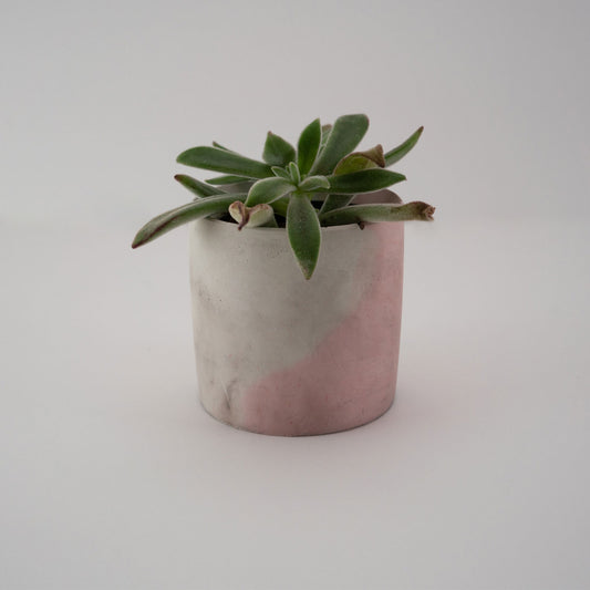 Colorform Companion Planters